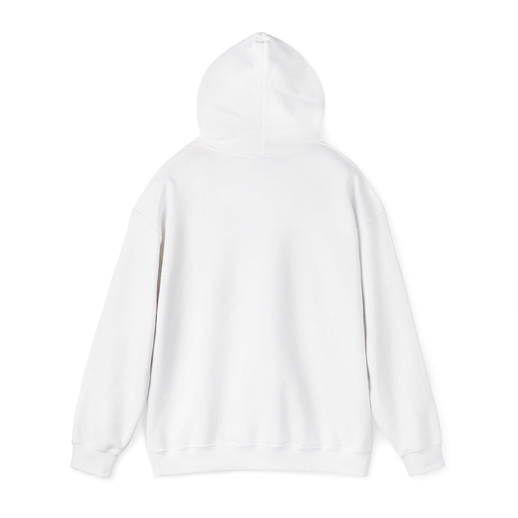 They Took Me! — Hoodie