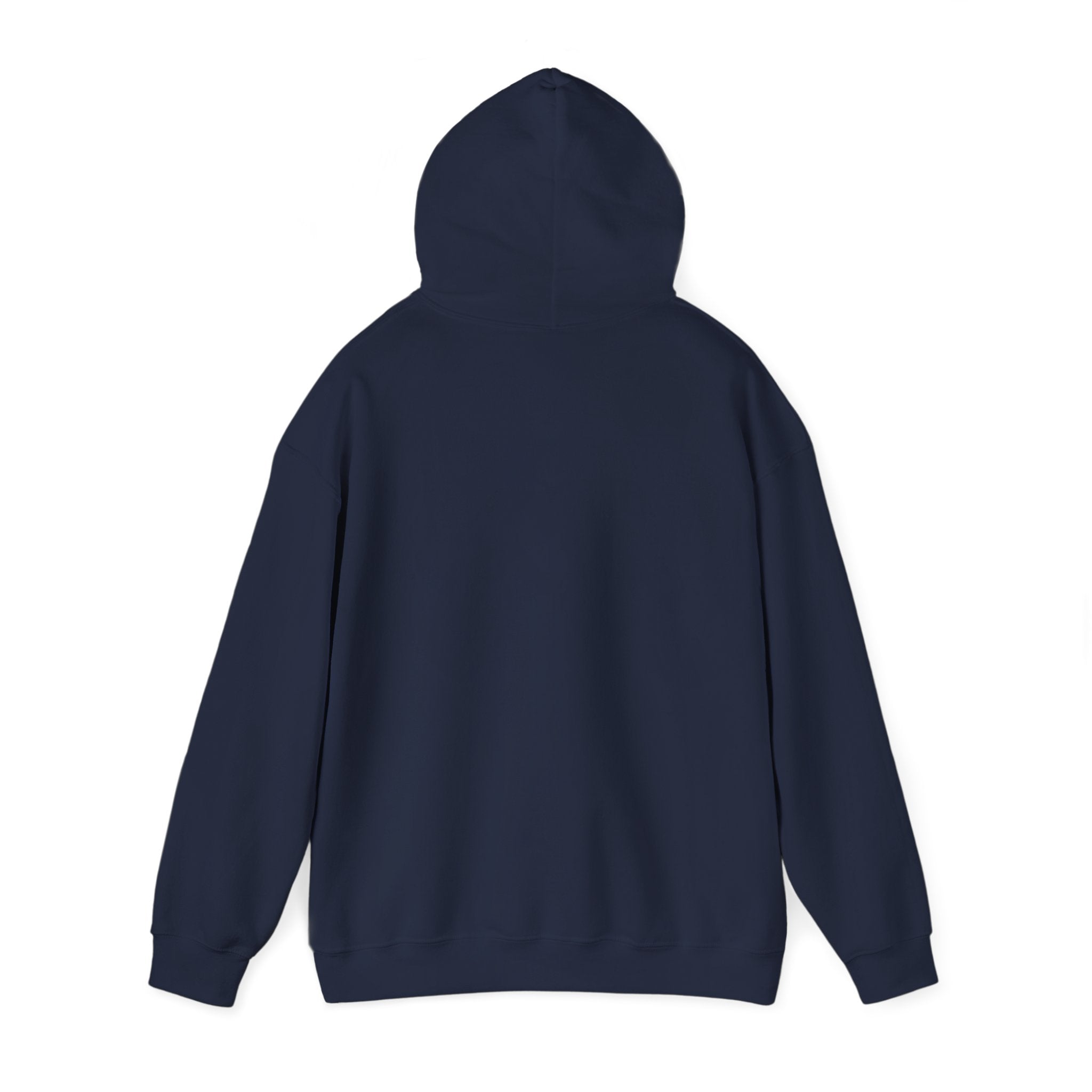 I Want To Believe — Hoodie