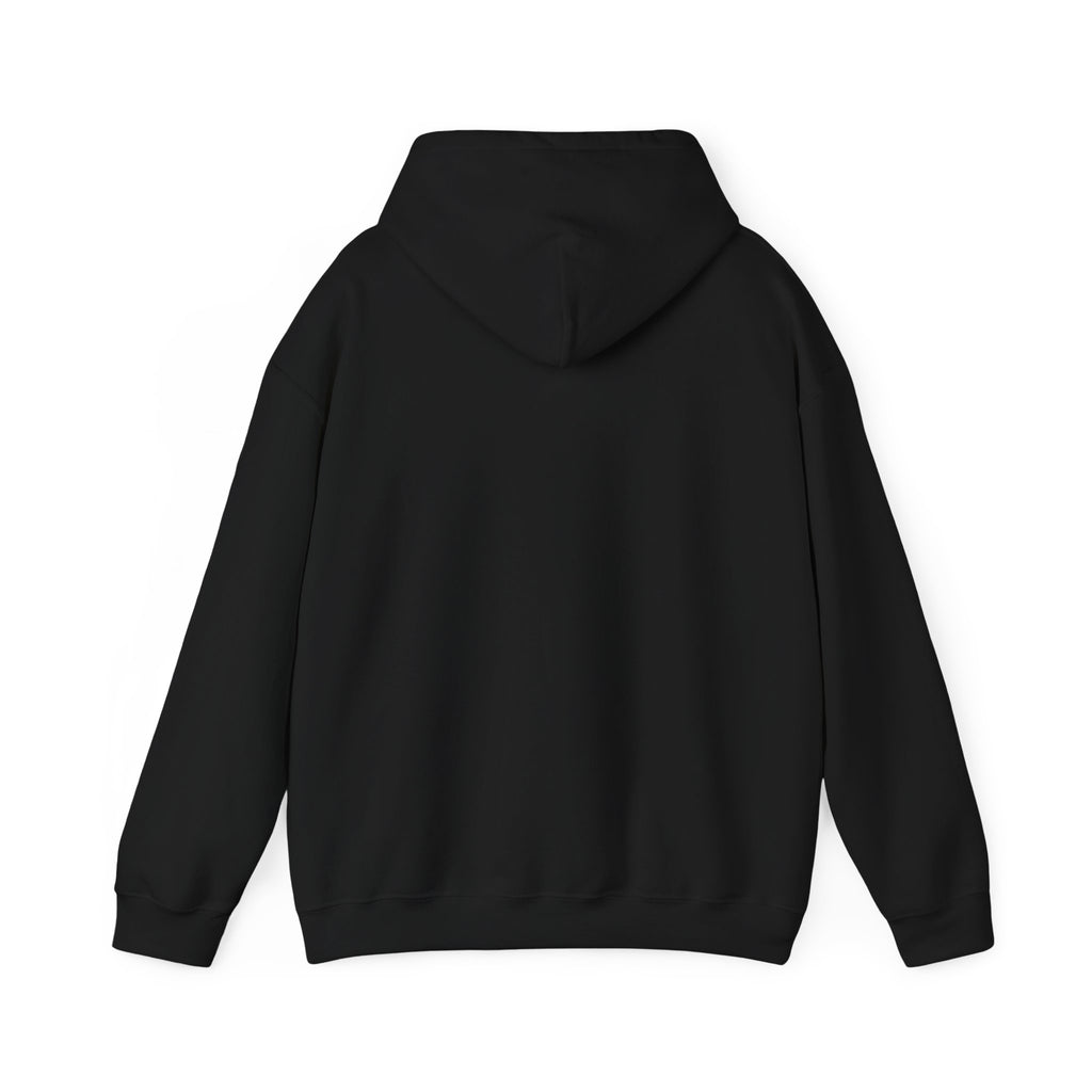 They Took Me! — Hoodie