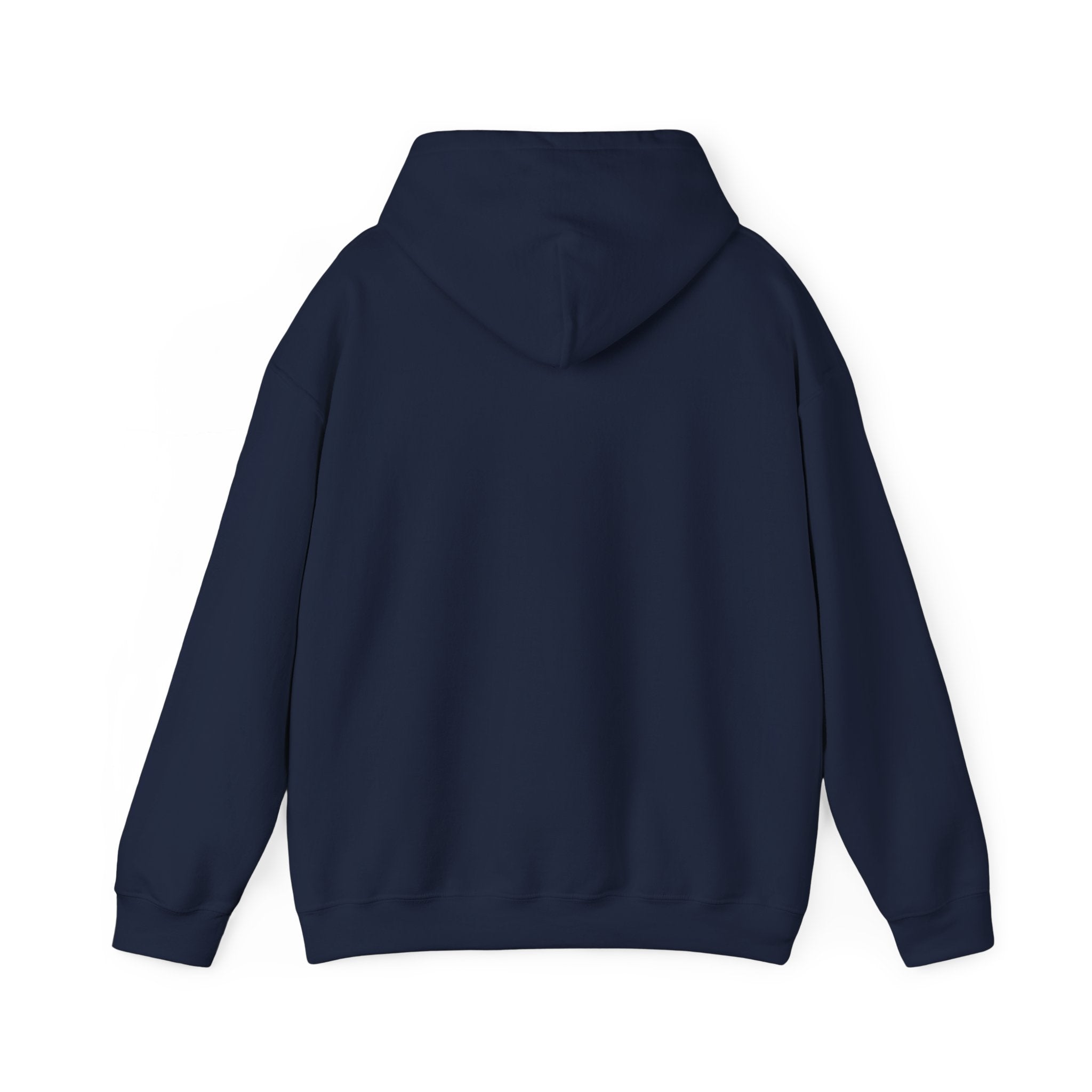 They Took Me! — Hoodie