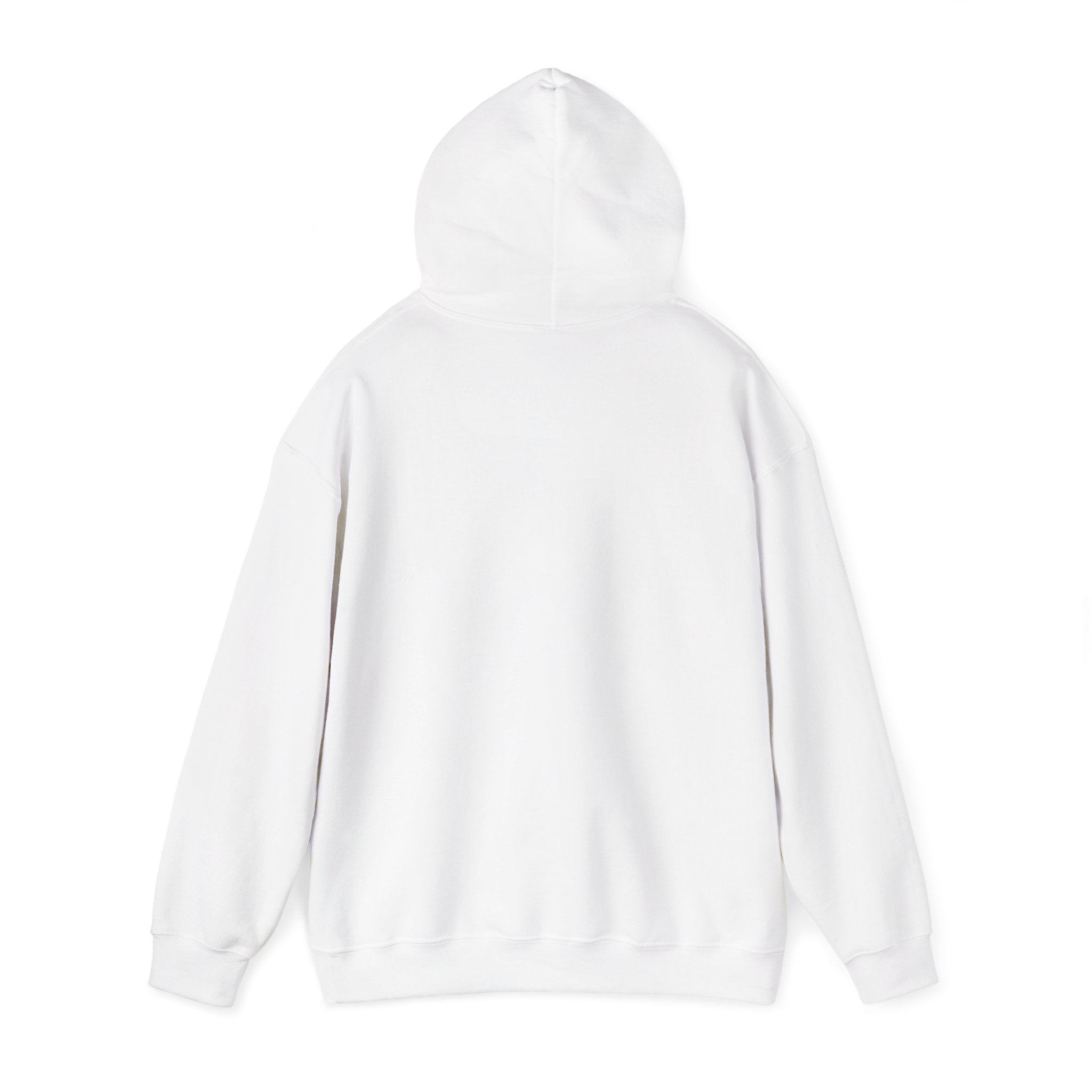 Free Will Is A Myth — Hoodie
