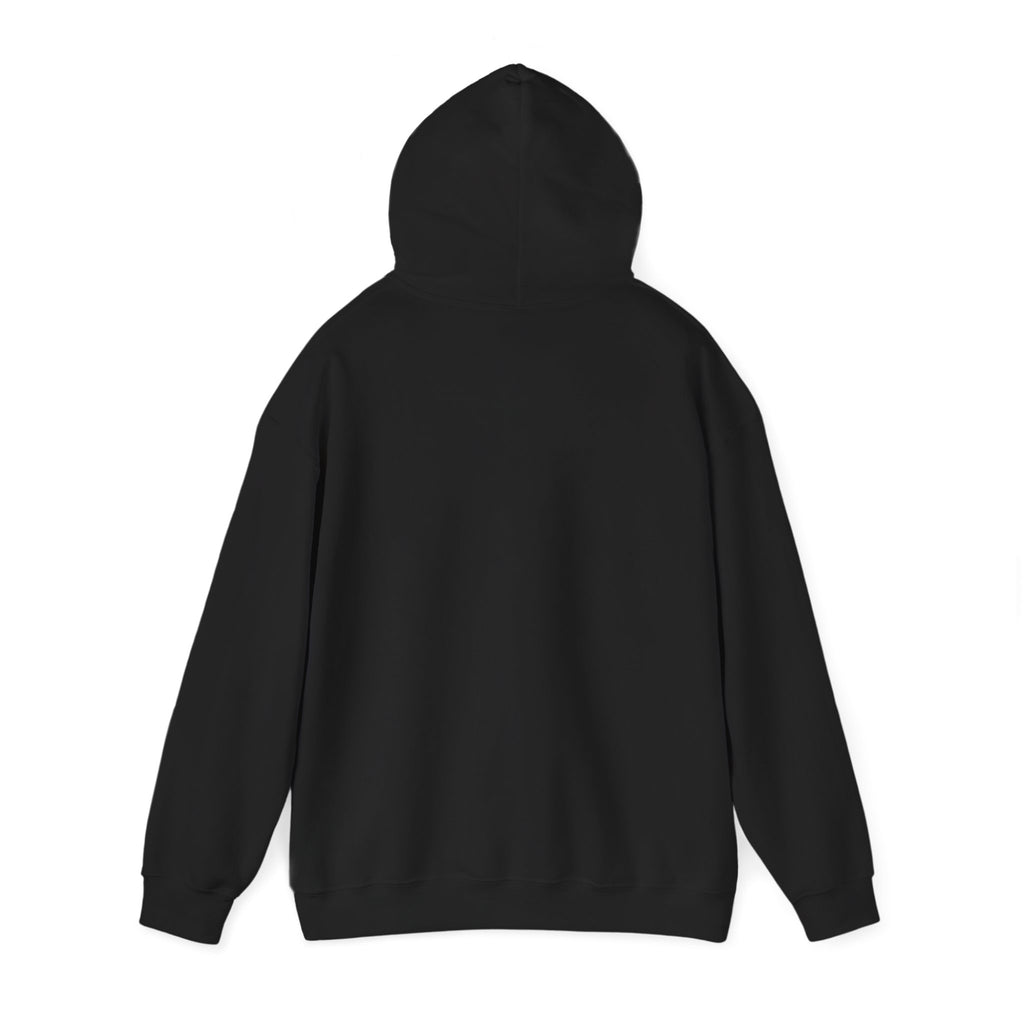 They Took Me! — Hoodie